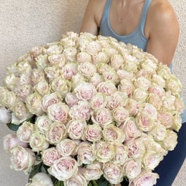 Large bouquet of pale pink and cream roses held in arms