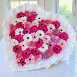 Bouquet of pink and white gerbera daisies wrapped in white paper