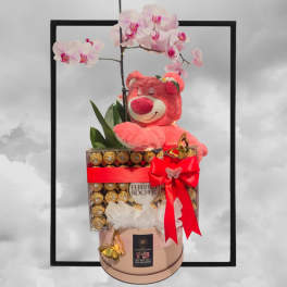 Pink orchid stems with a teddy bear and chocolate box gift arrangement