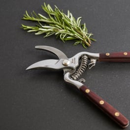 Pruning shears beside a sprig of rosemary on a dark surface