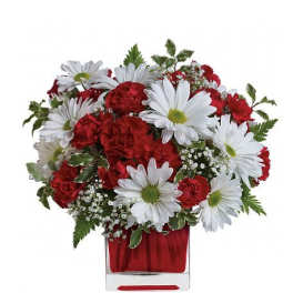 Red carnations and white daisies in a clear glass vase