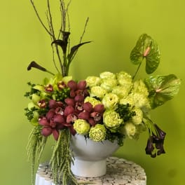 Floral arrangement with green and burgundy orchids in a white vase