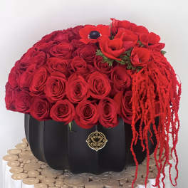 Red rose arrangement in a black pumpkin-shaped container with trailing red accents