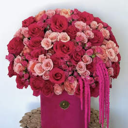 Large pink and red rose arrangement in a magenta box with trailing accents