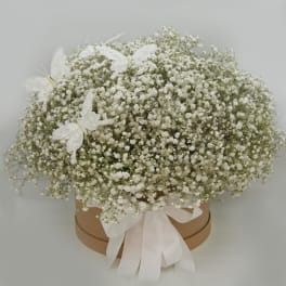 Round box of white baby's breath with a white ribbon and butterfly accents