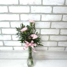 Pink Carnation Vase