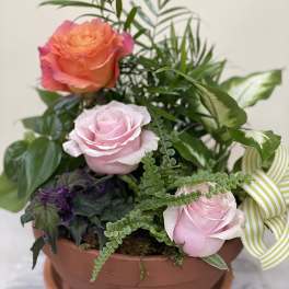 Potted arrangement with pink and orange roses and mixed foliage in a terracotta bowl
