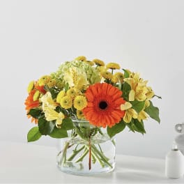 Orange gerbera daisies and yellow flowers in a clear glass vase