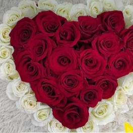 hearts roses
