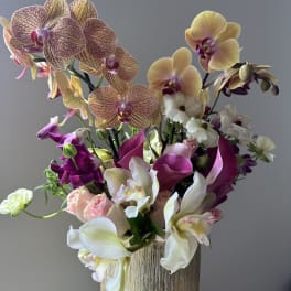 Mixed orchid arrangement in a gold textured vase