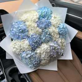 Bouquet of blue and white hydrangeas wrapped in white paper