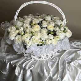 White Ranunculus: The Flower That Welcomes Spring
