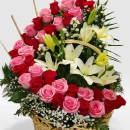 Basket arrangement of pink and red roses with white lilies and small white filler flowers.