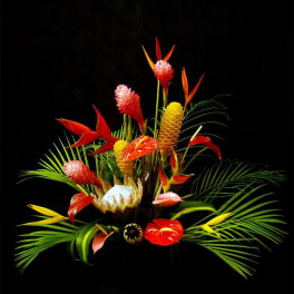 Tropical floral arrangement with red, yellow, and pink blooms against a black background