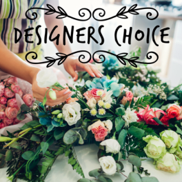 Designer Choice $69.99