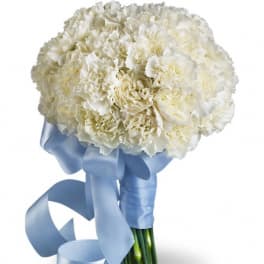 White carnation bouquet tied with a light blue ribbon