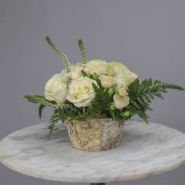 Cream rose arrangement in a birch bark container