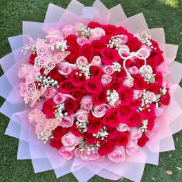 100 beautiful red and pink roses.