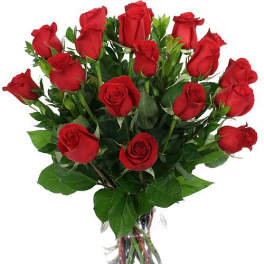 18 Red Roses