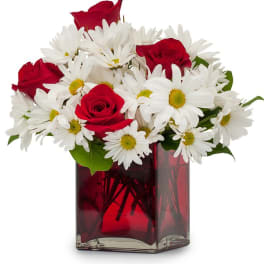 Red roses and white daisies arranged in a red glass vase