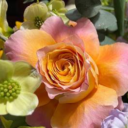 Peach and pink rose surrounded by pale flowers and eucalyptus