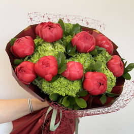 Bouquet of red peonies with green hydrangeas and burgundy wrapping