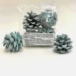 Three frosted pine cones in a clear plastic bag on a white surface.