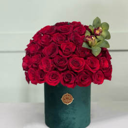 Red rose arrangement in a green cylindrical box with green orchids