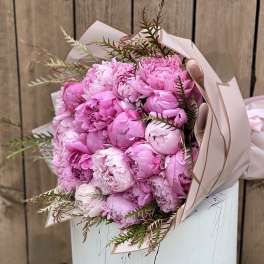 Bouquet of pink peonies wrapped in pale paper