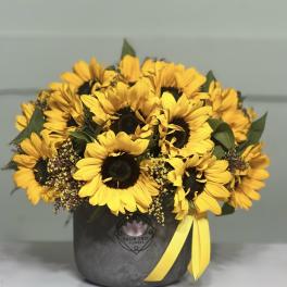 Bouquet of yellow sunflowers in a dark box with a yellow ribbon