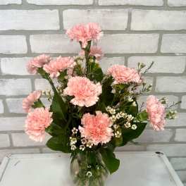 One Dozen Carnations