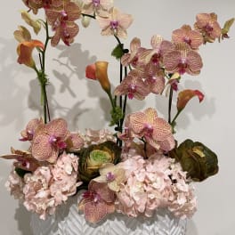 Orchid and hydrangea arrangement in a white textured planter