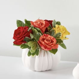 Roses arranged in a white pumpkin-shaped vase