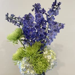 Blue delphinium and green chrysanthemums in a dark vase