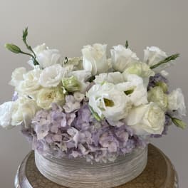 White roses and pale lavender flowers arranged in a low round box.