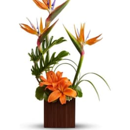 Modern tropical arrangement with orange birds of paradise and lilies in a dark square vase