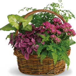 Secret Garden Basket