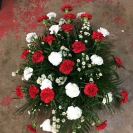 Red and white carnation arrangement with small white daisies