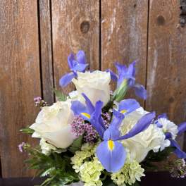 White roses and blue irises arranged in a white pot