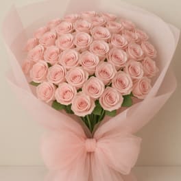 Bouquet of pale pink roses wrapped in sheer pink paper with a bow