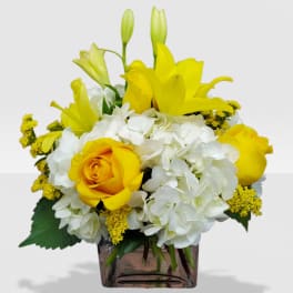 Short arrangement of yellow lilies and roses with white hydrangeas in a clear glass cube vase