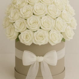 Round box of white roses with a sheer ribbon bow