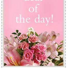 Pink floral card with the words "deal of the day"