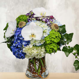 Blue and green hydrangea arrangement with white orchids in a glass vase