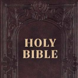A dark brown Holy Bible cover with ornate embossed borders