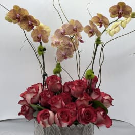 Pink roses and yellow orchids arranged in a white ceramic vase