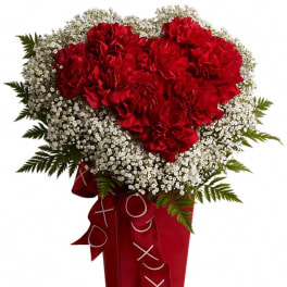 Red carnation arrangement with white baby's breath in a red vase