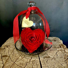 Red rose heart under a glass dome with a red ribbon and gold heart tag