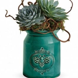 Succulent arrangement in a teal decorative jar with twine accents