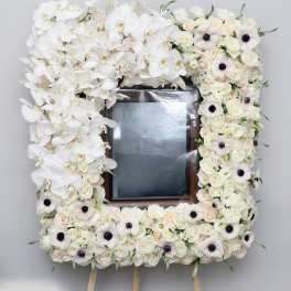 Orchid Anemone Frame